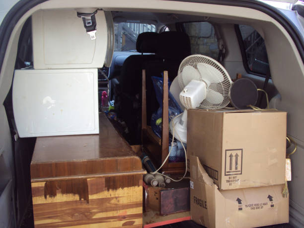 Best Attic Cleanout  in Citronelle, AL